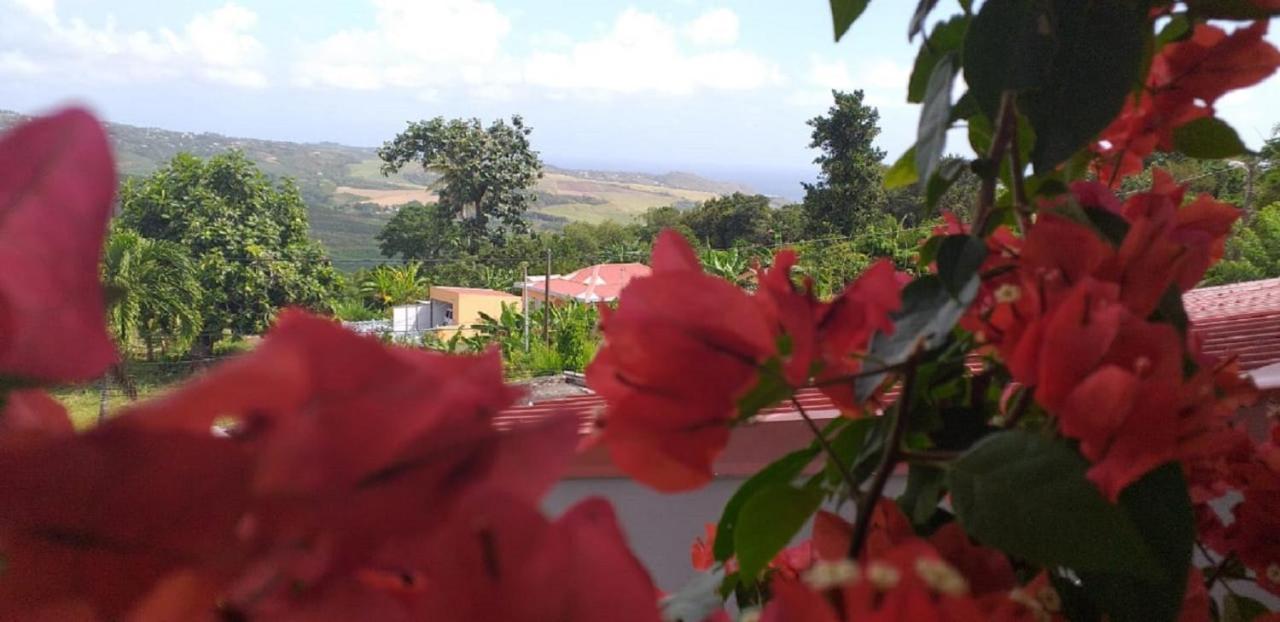 Ferienwohnung T2 Echappee Belle Sainte-Marie Kybo Karaib Location Pkg Mtgne Cosy Exterior foto